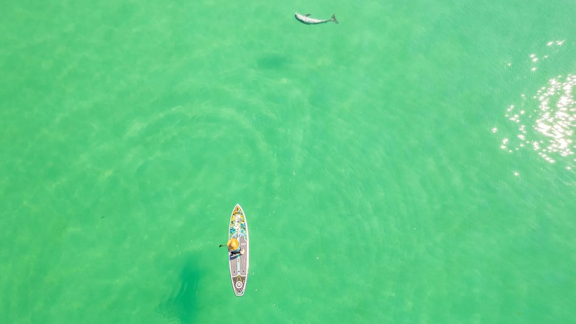 Oceania 807- By Holiday Isle Properties Destin 0*,  United States